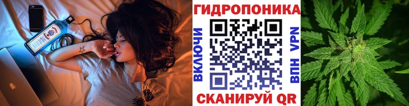 Шишки марихуана OG Kush  купить наркотики цена  Костерёво 